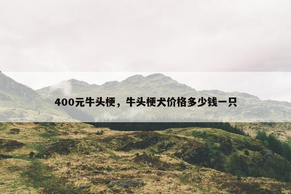 400元牛头梗，牛头梗犬价格多少钱一只
