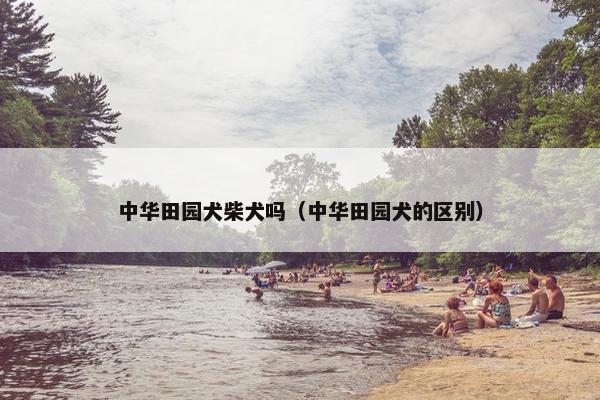 中华田园犬柴犬吗（中华田园犬的区别）