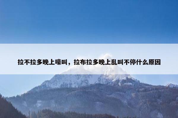 拉不拉多晚上嚎叫，拉布拉多晚上乱叫不停什么原因