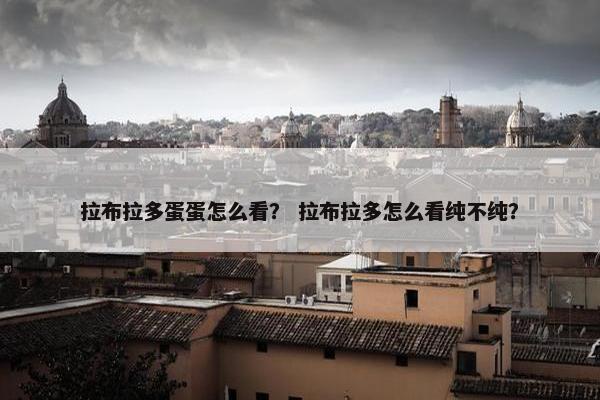 拉布拉多蛋蛋怎么看？ 拉布拉多怎么看纯不纯？