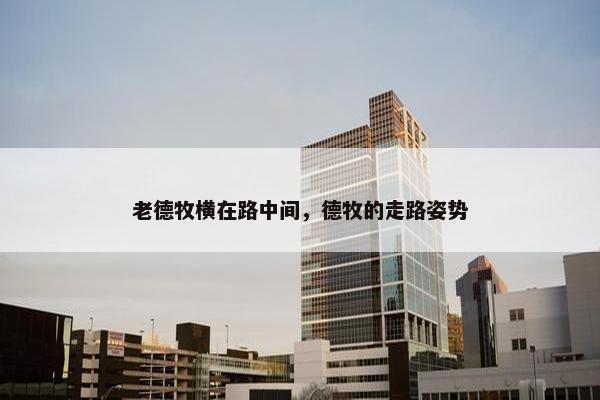 老德牧横在路中间，德牧的走路姿势