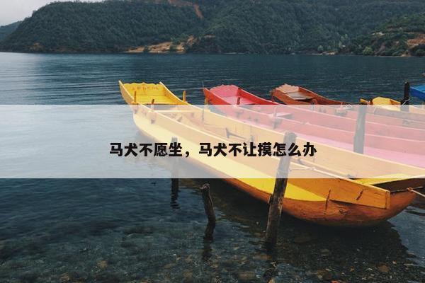 马犬不愿坐，马犬不让摸怎么办
