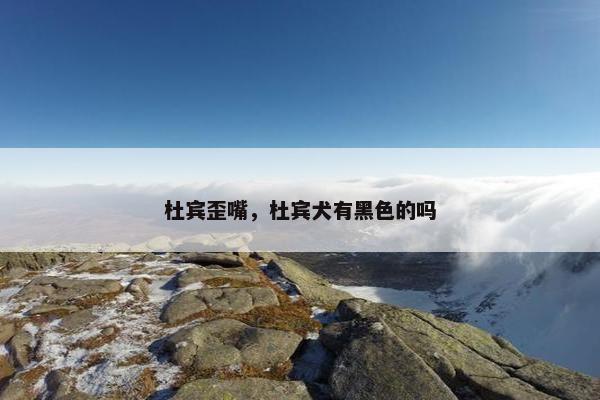 杜宾歪嘴，杜宾犬有黑色的吗
