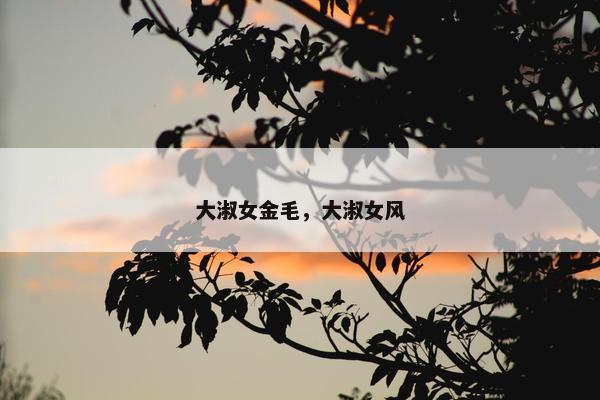大淑女金毛，大淑女风