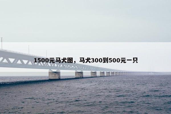 1500元马犬图，马犬300到500元一只