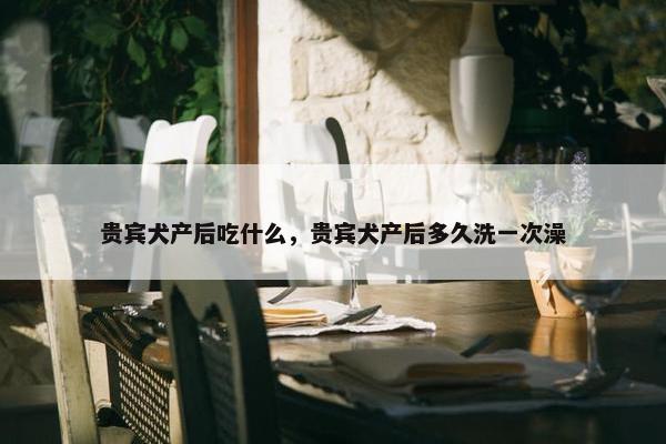 贵宾犬产后吃什么，贵宾犬产后多久洗一次澡