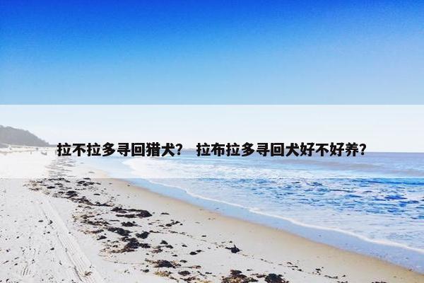 拉不拉多寻回猎犬？ 拉布拉多寻回犬好不好养？