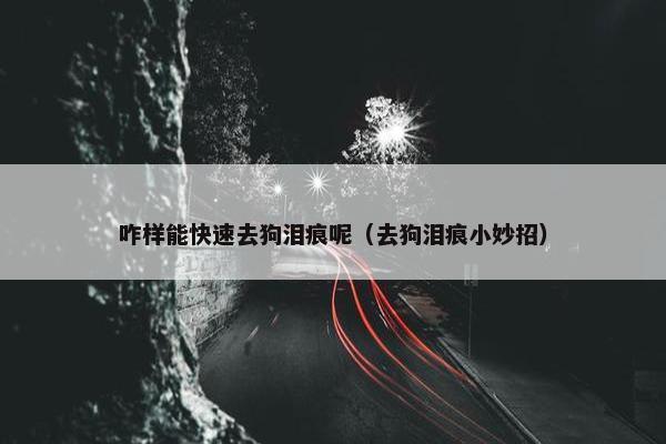 咋样能快速去狗泪痕呢（去狗泪痕小妙招）