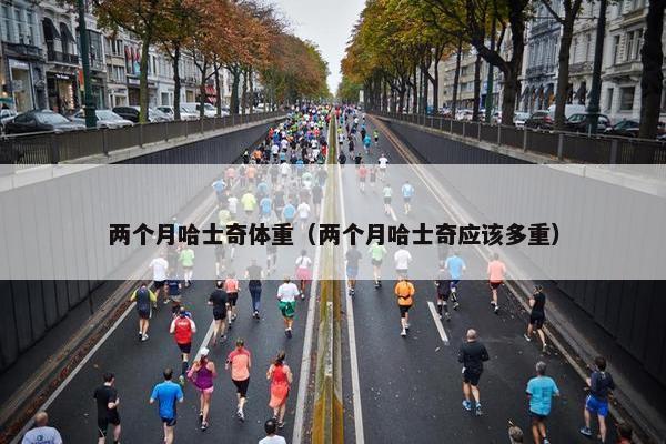 两个月哈士奇体重（两个月哈士奇应该多重）