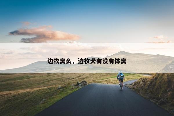 边牧臭么，边牧犬有没有体臭