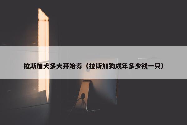 拉斯加犬多大开始养（拉斯加狗成年多少钱一只）
