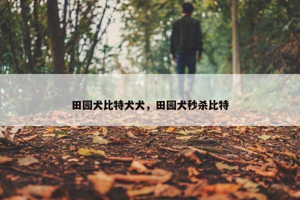 田园犬比特犬犬，田园犬秒杀比特