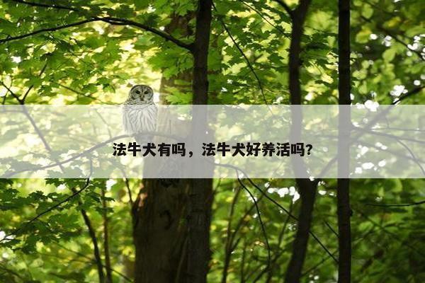 法牛犬有吗，法牛犬好养活吗?