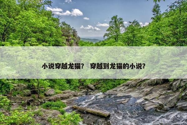 小说穿越龙猫？ 穿越到龙猫的小说？