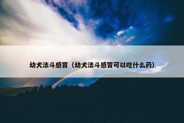 幼犬法斗感冒（幼犬法斗感冒可以吃什么药）
