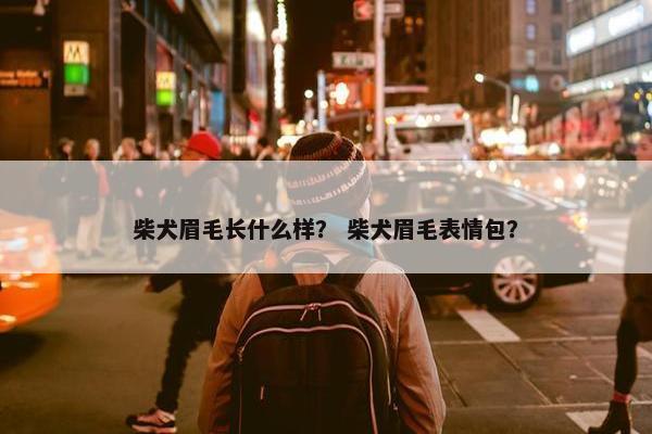 柴犬眉毛长什么样？ 柴犬眉毛表情包？