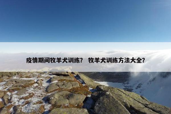 疫情期间牧羊犬训练？ 牧羊犬训练方法大全？