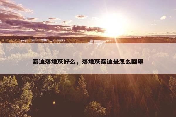 泰迪落地灰好么，落地灰泰迪是怎么回事