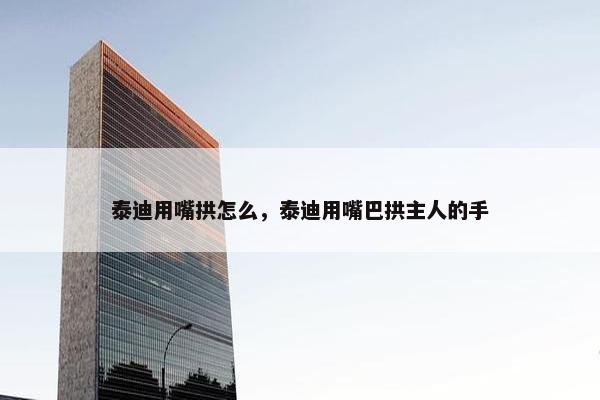 泰迪用嘴拱怎么，泰迪用嘴巴拱主人的手
