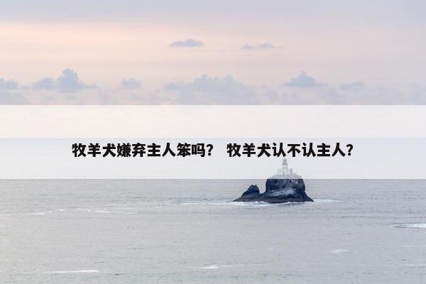 牧羊犬嫌弃主人笨吗？ 牧羊犬认不认主人？
