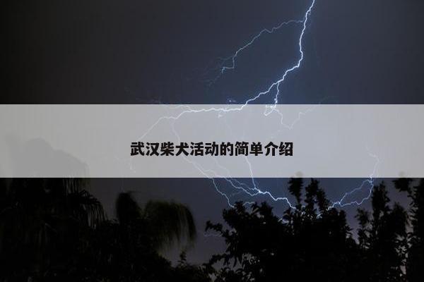 武汉柴犬活动的简单介绍