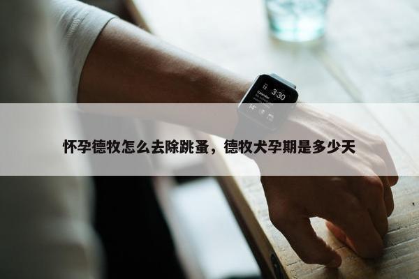 怀孕德牧怎么去除跳蚤，德牧犬孕期是多少天