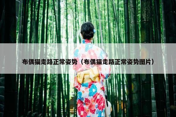 布偶猫走路正常姿势（布偶猫走路正常姿势图片）