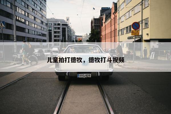 儿童拍打德牧，德牧打斗视频