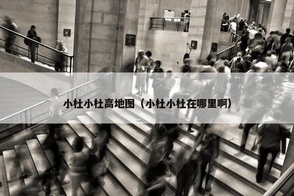 小杜小杜高地图（小杜小杜在哪里啊）