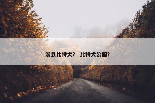 浚县比特犬？ 比特犬公园？