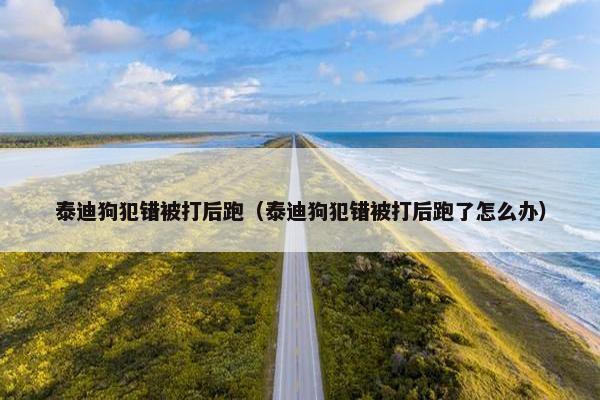 泰迪狗犯错被打后跑（泰迪狗犯错被打后跑了怎么办）