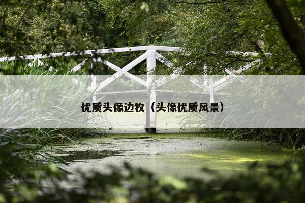 优质头像边牧（头像优质风景）