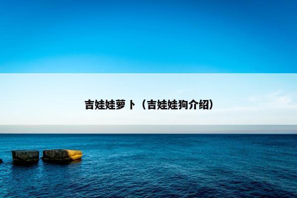 吉娃娃萝卜（吉娃娃狗介绍）