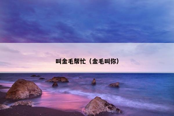 叫金毛帮忙（金毛叫你）
