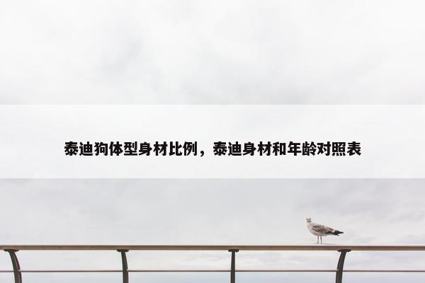 泰迪狗体型身材比例，泰迪身材和年龄对照表