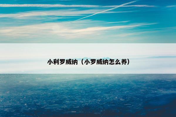 小利罗威纳（小罗威纳怎么养）
