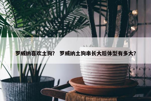 罗威纳喜欢土狗？ 罗威纳土狗串长大后体型有多大？