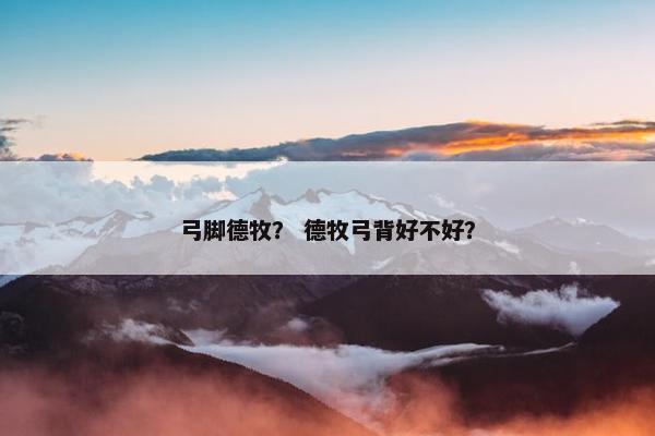 弓脚德牧？ 德牧弓背好不好？