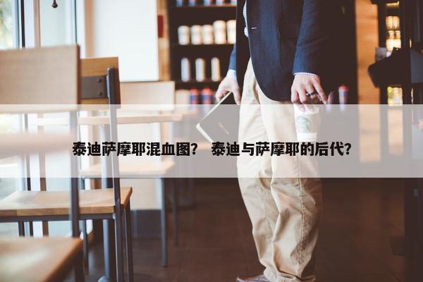 泰迪萨摩耶混血图？ 泰迪与萨摩耶的后代？