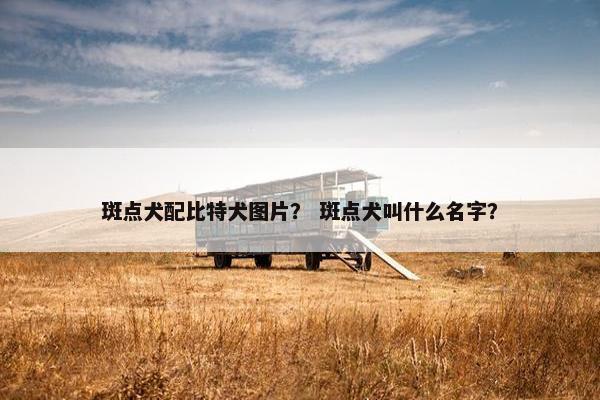 斑点犬配比特犬图片？ 斑点犬叫什么名字？