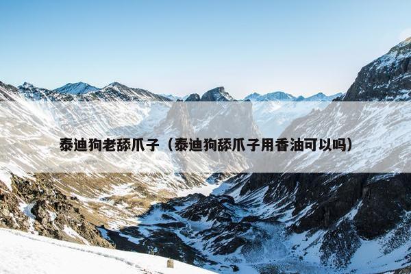 泰迪狗老舔爪子（泰迪狗舔爪子用香油可以吗）