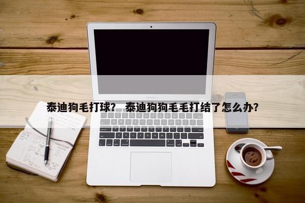 泰迪狗毛打球？ 泰迪狗狗毛毛打结了怎么办？