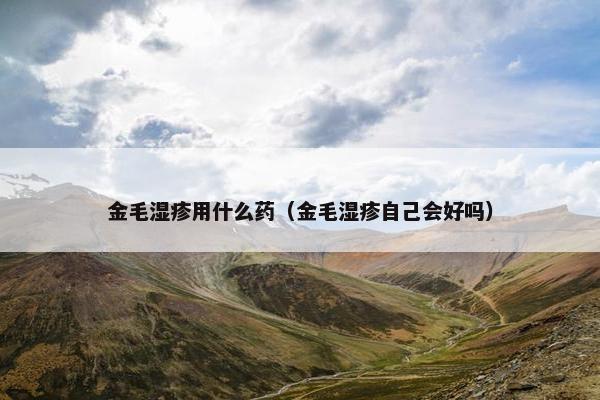 金毛湿疹用什么药（金毛湿疹自己会好吗）