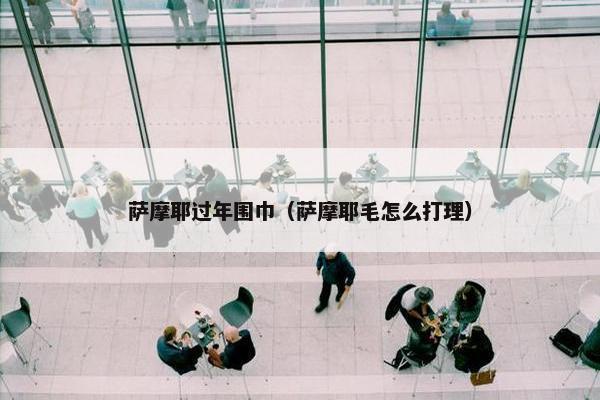 萨摩耶过年围巾（萨摩耶毛怎么打理）