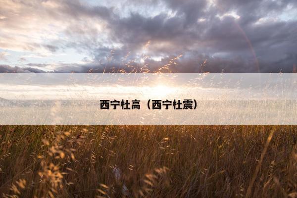 西宁杜高（西宁杜震）