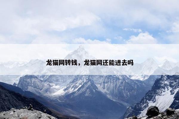 龙猫网转钱，龙猫网还能进去吗