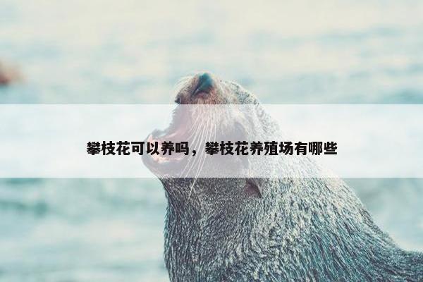 攀枝花可以养吗，攀枝花养殖场有哪些