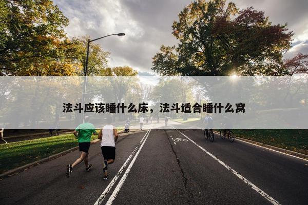法斗应该睡什么床，法斗适合睡什么窝