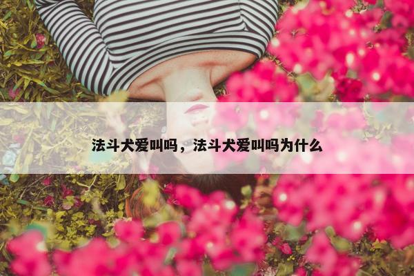 法斗犬爱叫吗，法斗犬爱叫吗为什么