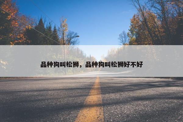 品种狗叫松狮，品种狗叫松狮好不好
